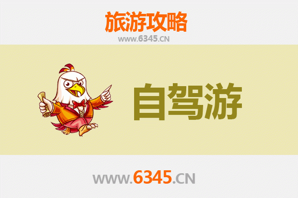 乐东保国农场自驾游全攻略：探秘热带田园与黎族风情