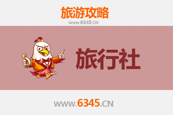 乐东保国农场本地旅行社推荐与深度游玩攻略