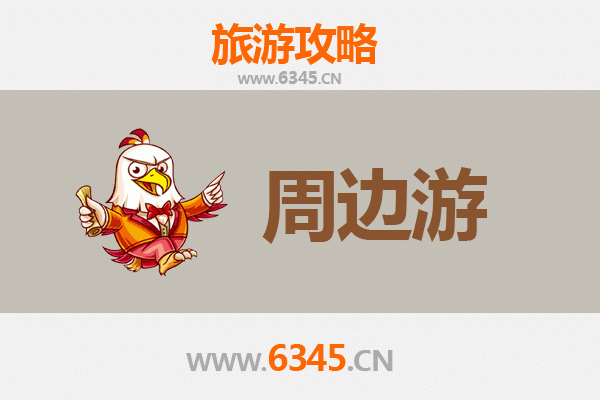 乐东保国农场周边深度游攻略：雨林探秘与黎族文化体验