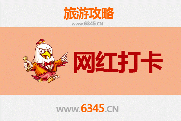 乐东保国农场：热带田园与网红打卡新地标